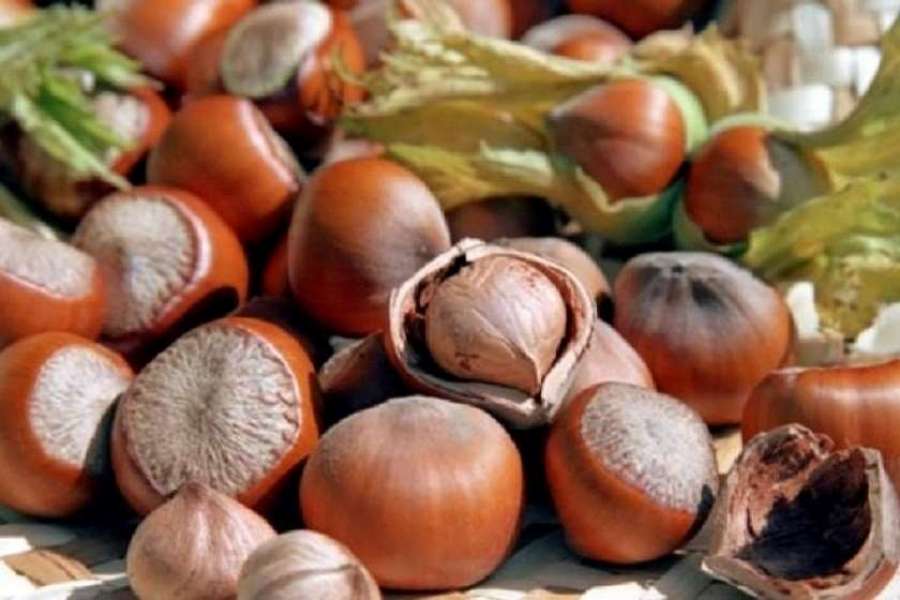 ხილის 5 სახეობა, რომელსაც საქართველო ყველაზე ბევრს ყიდულობს