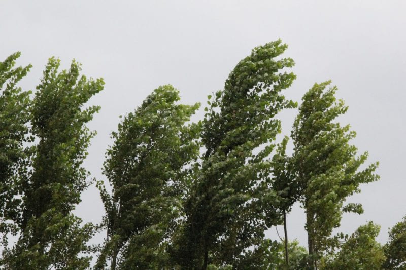 როგორი ამინდია მოსალოდნელი დღეს და ხვალ ქვეყანაში?