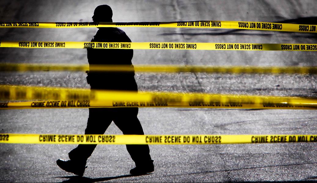 დანაშაულის სტატისტიკა 55.81%-ით არის გაზრდილი