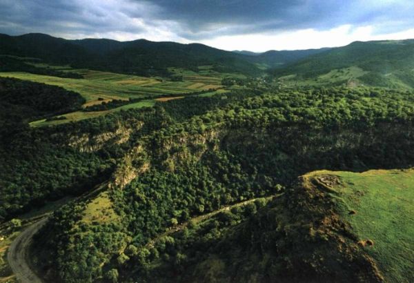 აუქციონში გამარჯვებული პარტიები დმანისში მიწის იჯარისთვის 5 მილიონის შეგროვებას მოსახლეობაში გეგმავენ