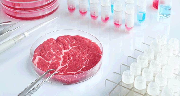 860-lab-meat-1629467568-1629536936.gif
