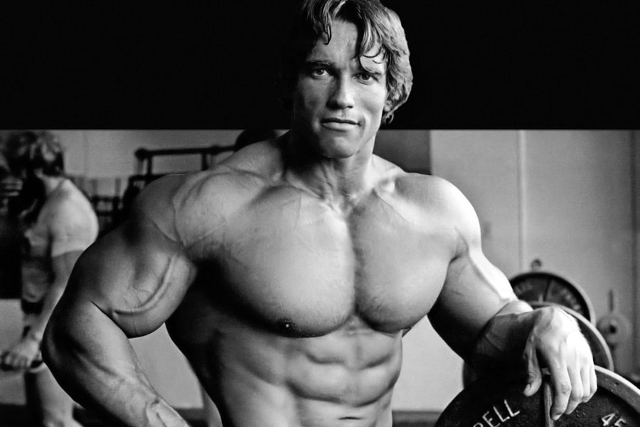 arnold-schwarzeneggers-diet-and-workout-plan-1629697595.jpg