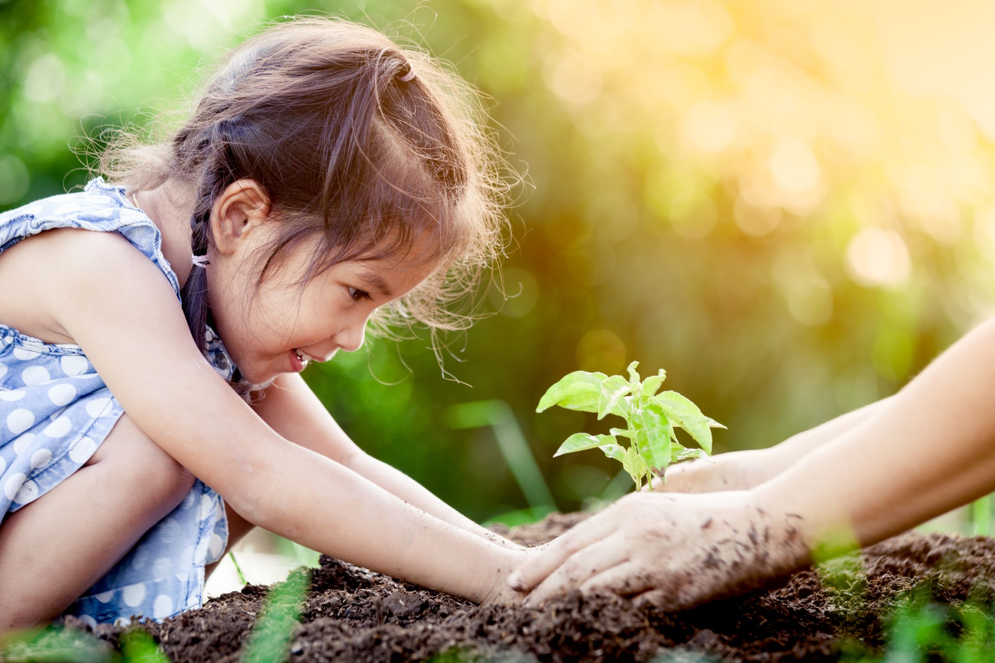 little-girl-and-parent-planting-young-tree-1689052928.jpg