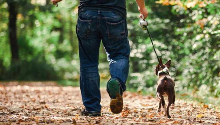 რა დაავადებებს კურნავს დღეში 3 000 ნაბიჯის გავლა და რატომ არის ეს აუცილებელი ყველასთვის? - მეცნიერების ახალი აღმოჩენა