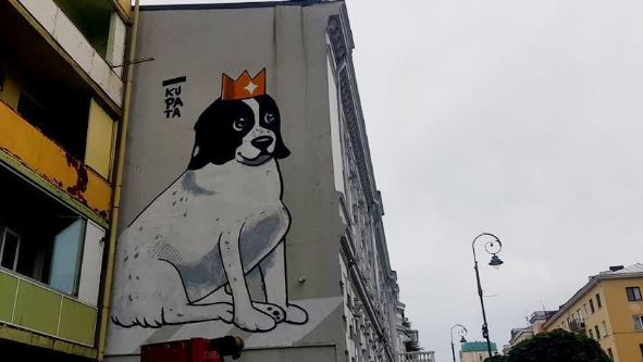 capture-1779090185.jpg