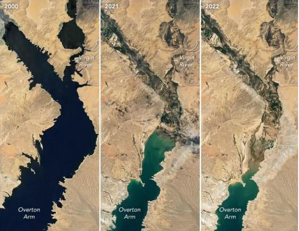 5-1784536860.jpg